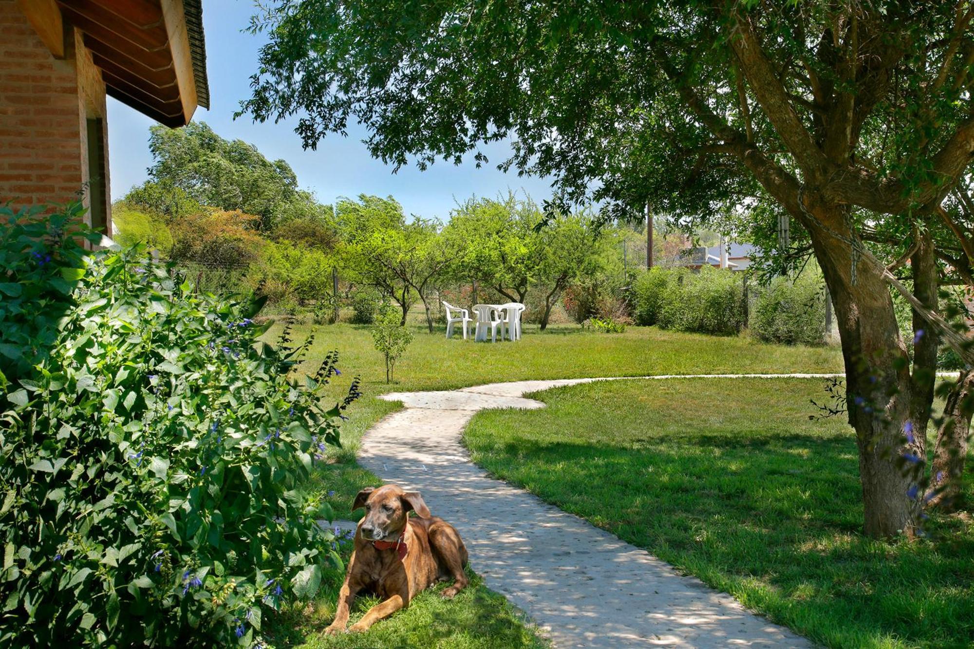 Casa Arboles De Tala Con Parque Amplio *